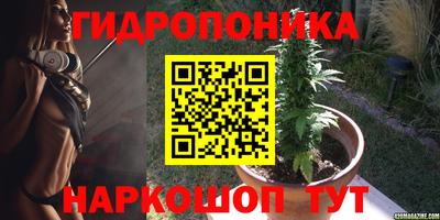 apvp Рыбинск