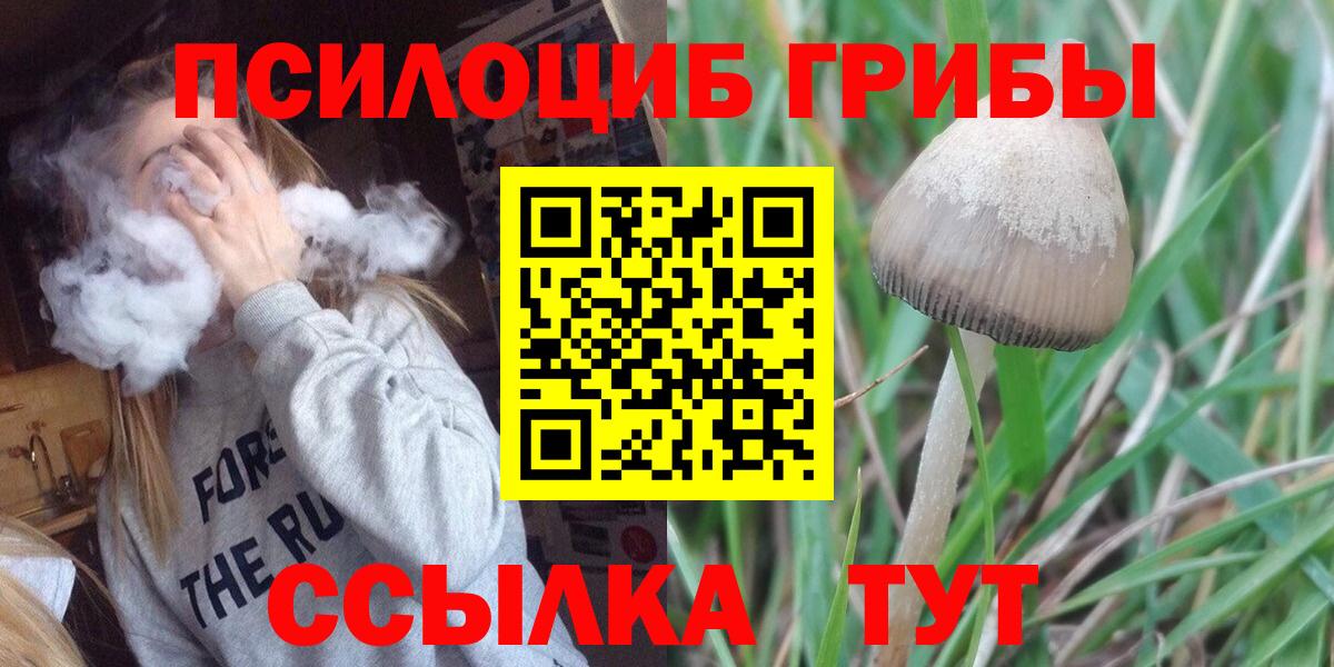 Биробиджан  как найти закладки  Вход с VPN  Галлюциногенные грибы ЛСД 